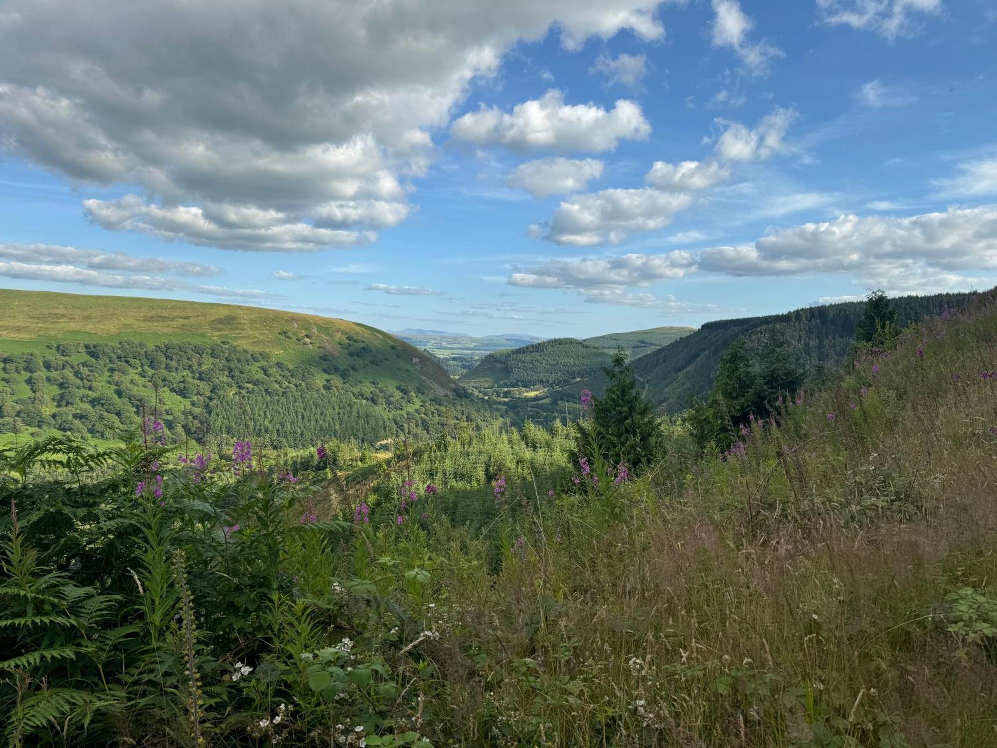 Bronfelin & Troed-Y-Rhiw Holiday Cottage Лланвртид-Уэлс Экстерьер фото